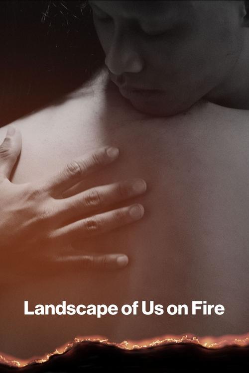 Landscape of Us on fire Poster