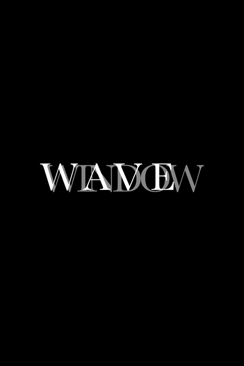 Wave Window电影海报
