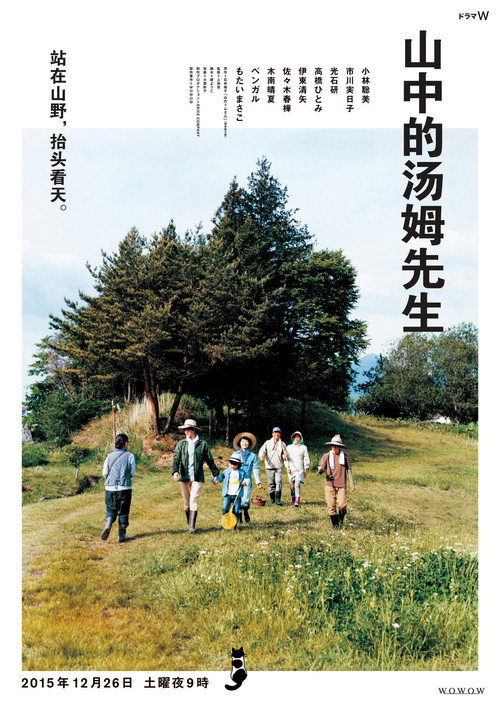 山中的汤姆先生电影海报