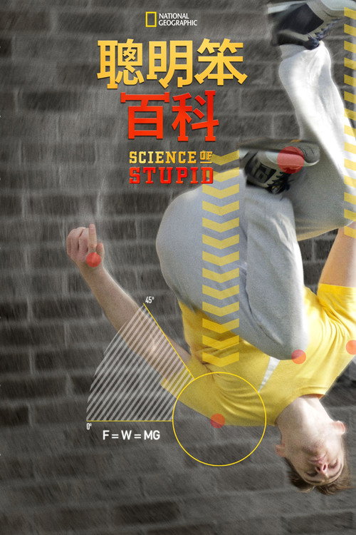 无厘头科学研究所电影海报