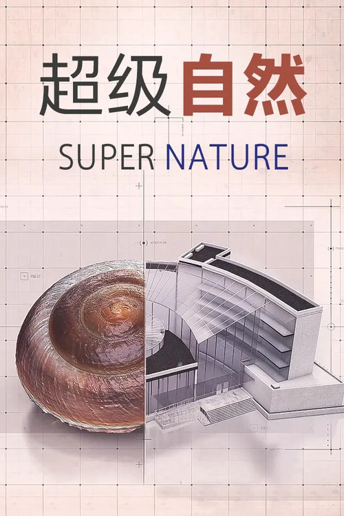 超级仿生电影海报