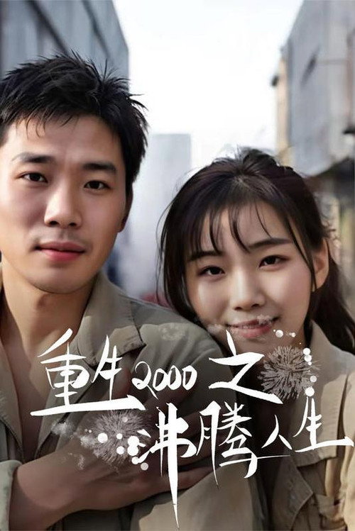 重生2000之沸腾人生海报