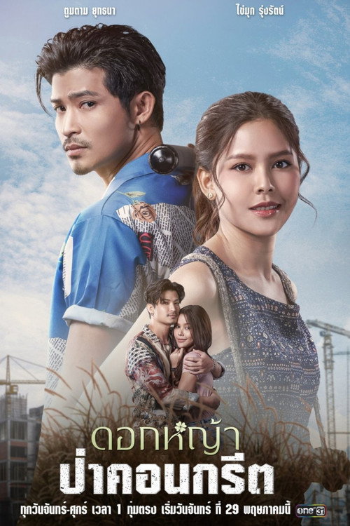 A Wildflower in the City poster 3