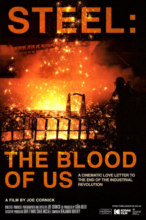 Steel: The Blood Of Us's poster