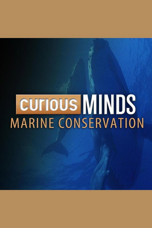 Curious Minds: Marine Conservation电影海报