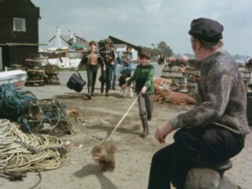 Five Go to Demon's Rocks (1)