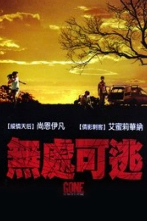 迷失方向电影海报