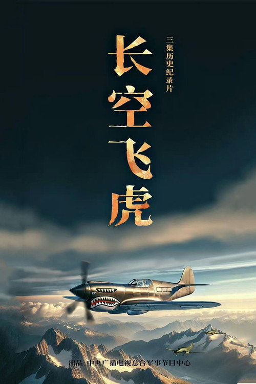 长空飞虎电影海报