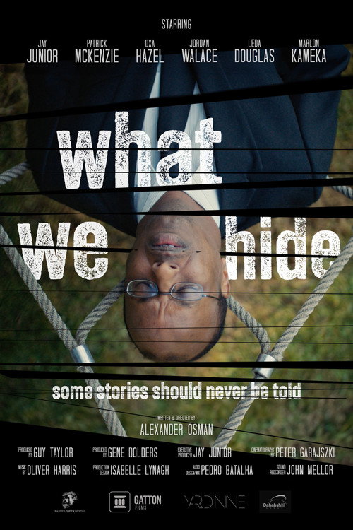 What We Hide Poster