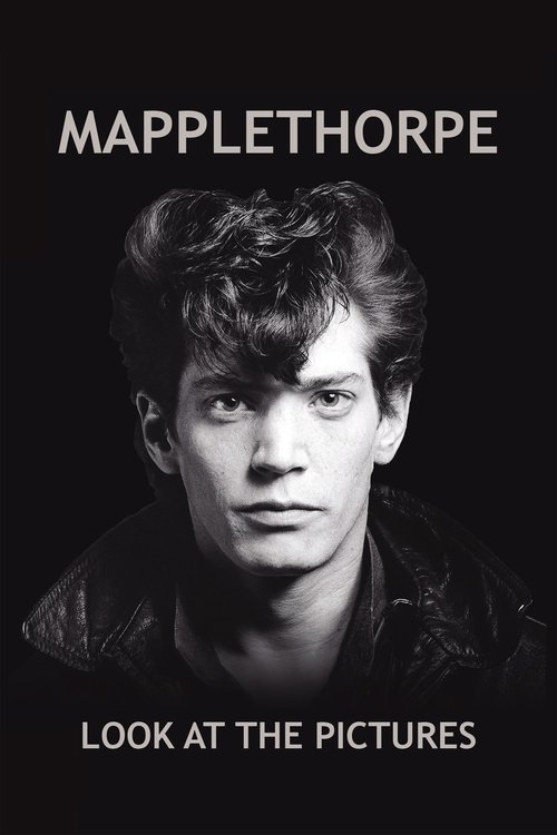 (VOIR-FILM) Mapplethorpe: Look at the Pictures (2016) Film Complet en HD Gratuit Regarder Mapplethorpe: Look at the Pictures (2016) le film en streaming complet en ligne