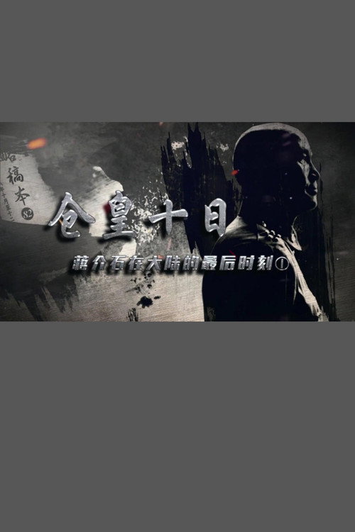 仓皇十日：蒋介石在大陆的最后时刻电影海报