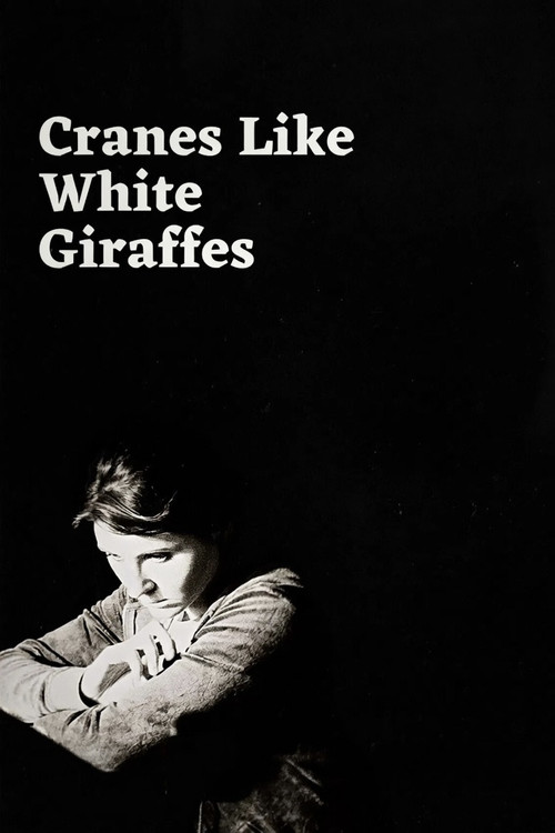 Cranes Like White Giraffes Poster