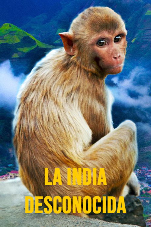 La india desconocida电影海报