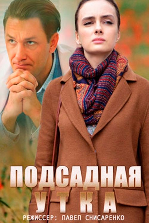 Подсадная утка poster