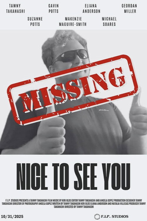 Nice to See You poster 3