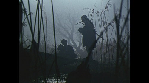 The Little Flower by the Lake