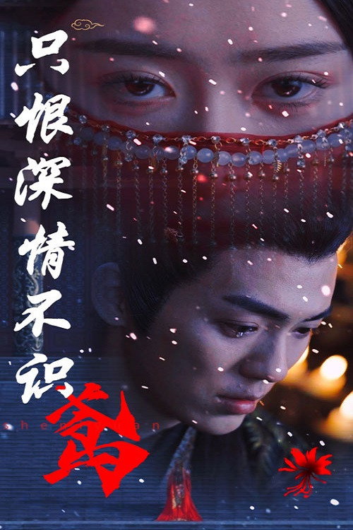只恨深情不识鸢电影海报