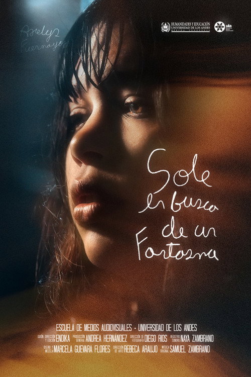 Sole En Busca De Un Fantasma Poster
