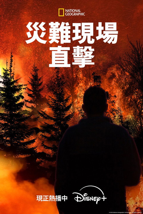 灾难现场直击海报