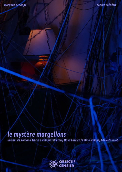 The Mystery of Morgellons