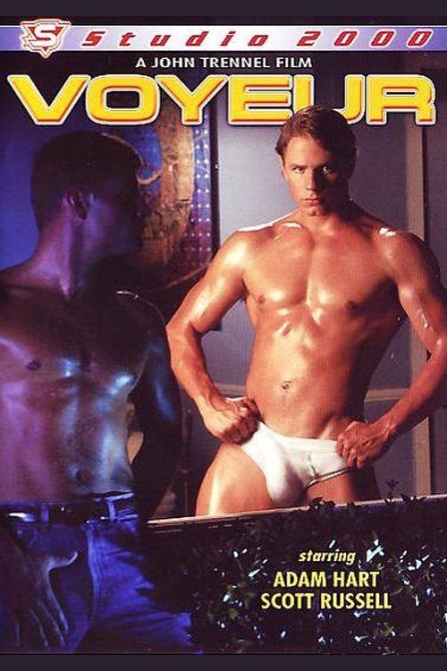 Voyeur Poster