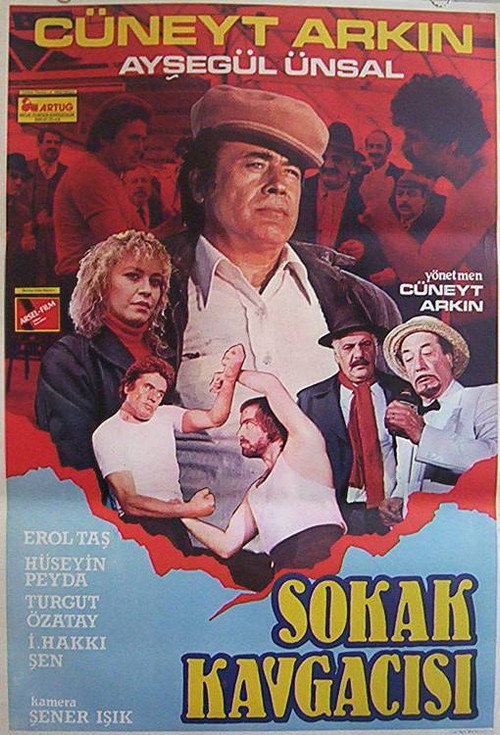 Sokak Kavgacısı poster 3