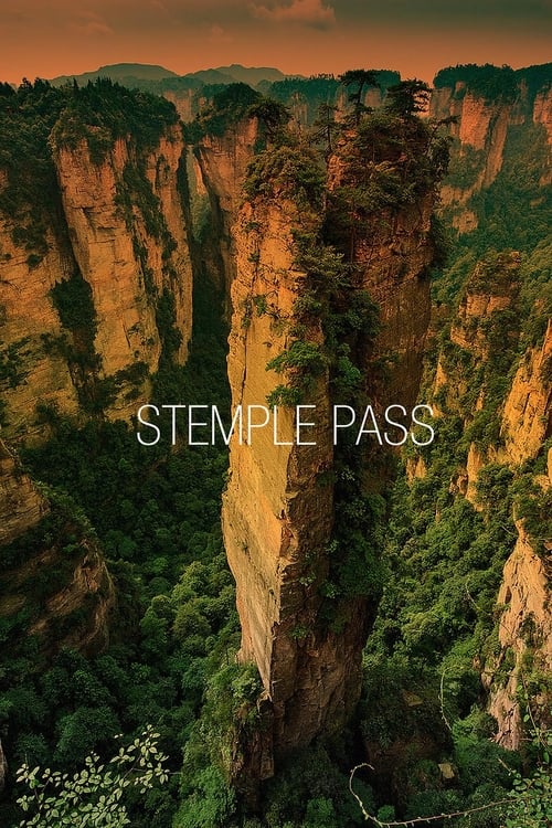 Stemple+Pass