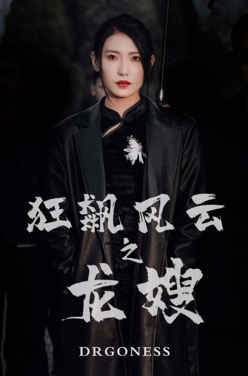 狂飙风云之龙嫂海报