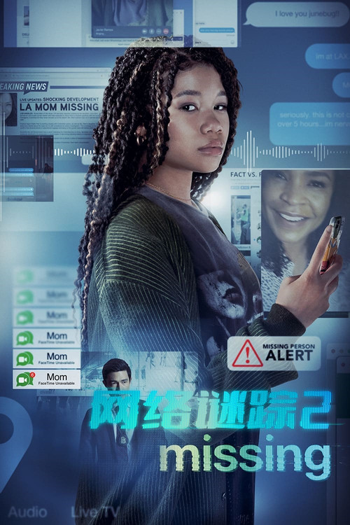 网络谜踪2电影海报