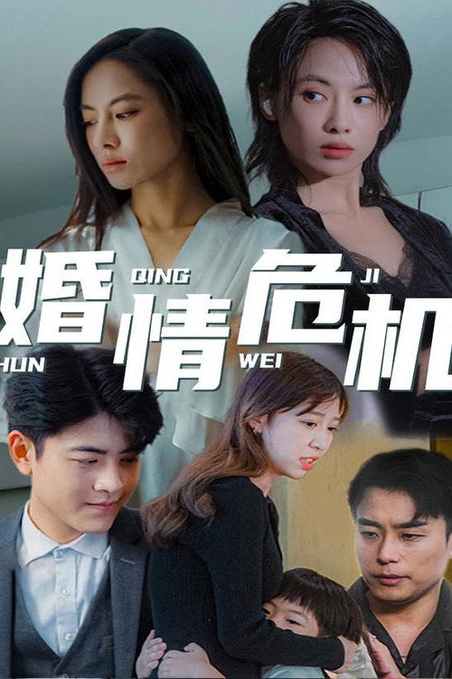 婚情危机电影海报