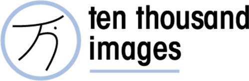 Production Company Logo