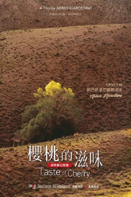 樱桃的滋味电影海报