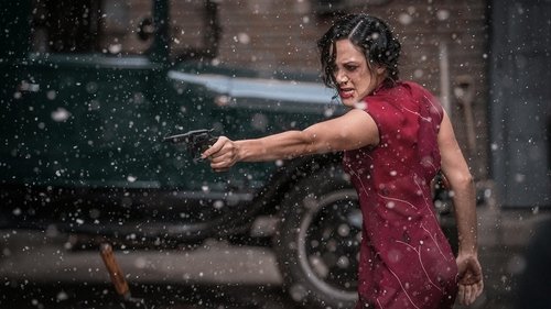 Snow Steam Iron (2017) Regarder Film complet Streaming en ligne