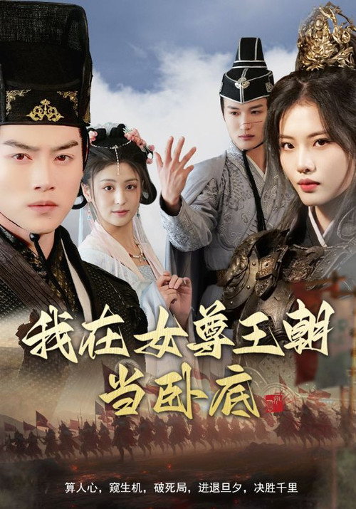 我在女尊王朝当卧底电影海报
