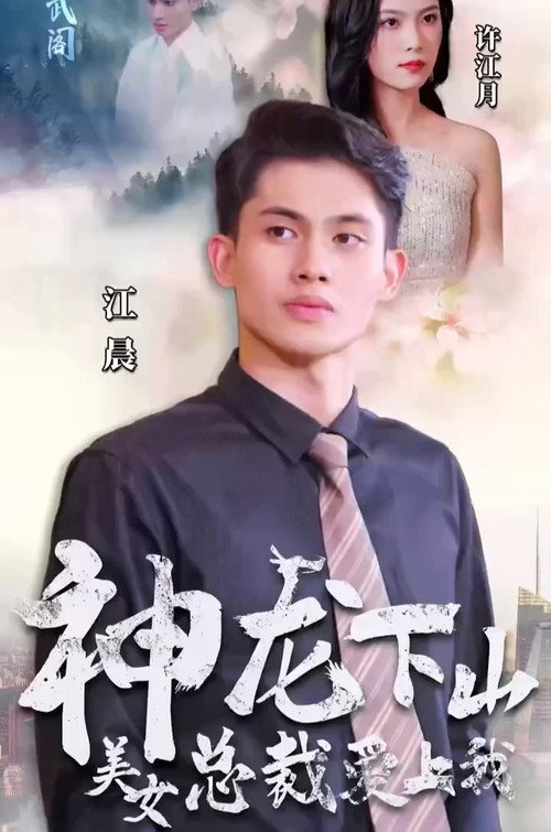 神龙下山美女总裁爱上我电影海报