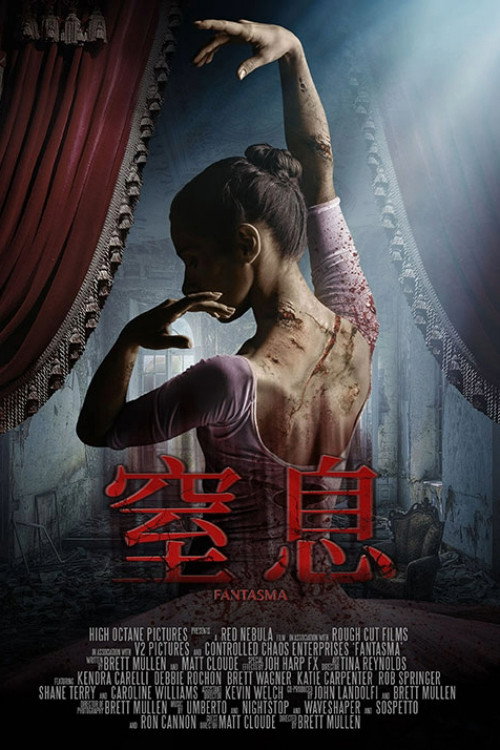 血光芭蕾电影海报