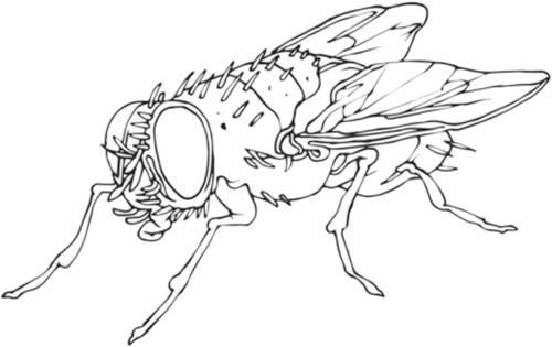 Production Company Logo