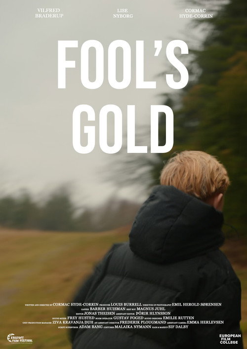 Fool's Gold poster 3