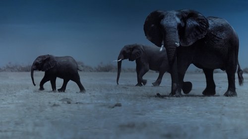 Night on Earth Watch Full TV Episode Online