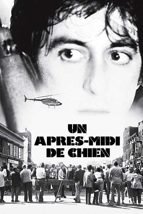 Un après-midi de chien 1975 Un après-midi de chien 1975