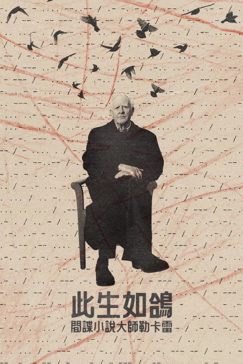 鸽子隧道电影海报