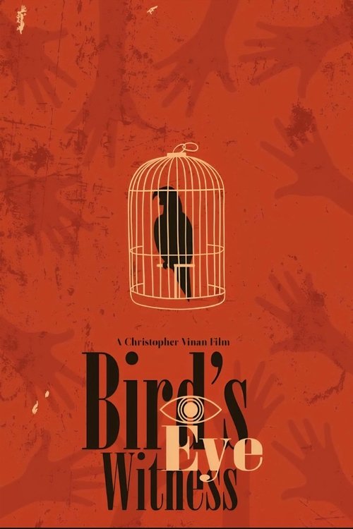 Bird's Eye Witness Poster