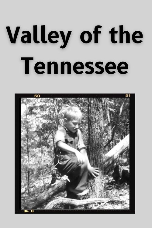 Valley of the Tennessee Poster