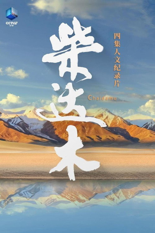 柴达木电影海报