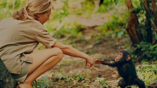 Jane – Mein Leben mit Schimpansen (2017) Voller Film-Stream online anschauen