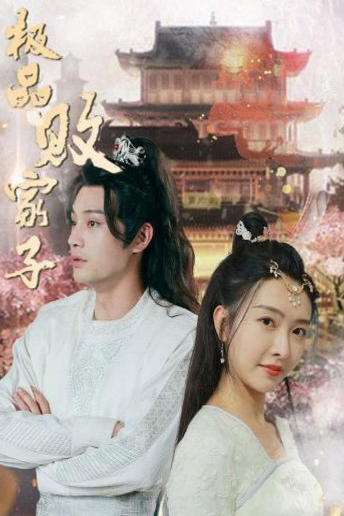 极品败家子电影海报