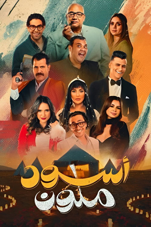 Colorful Black poster 3