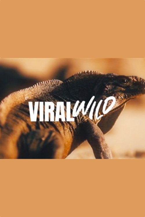 Viralwild电影海报