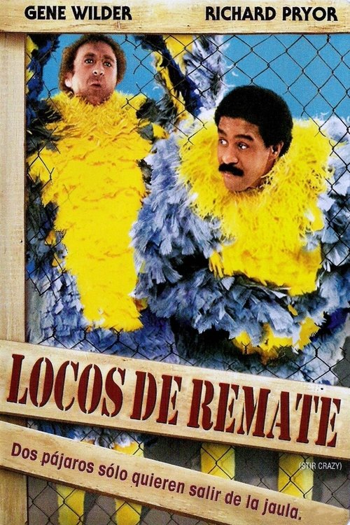 Locos de remate 1980
