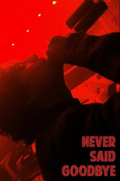 Never Said Goodbye Poster